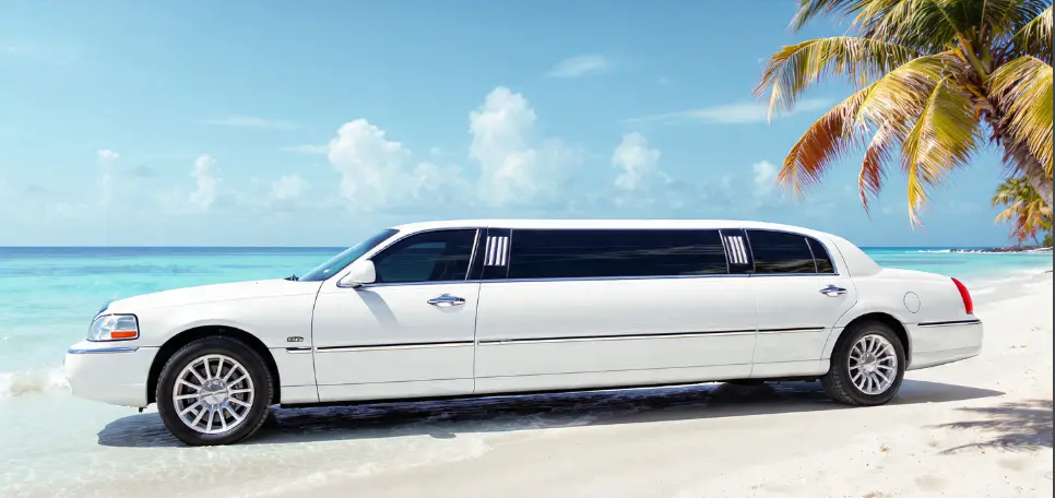 White Limousine